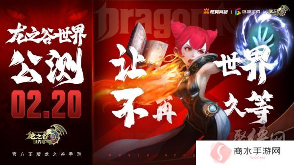 开发者专栏