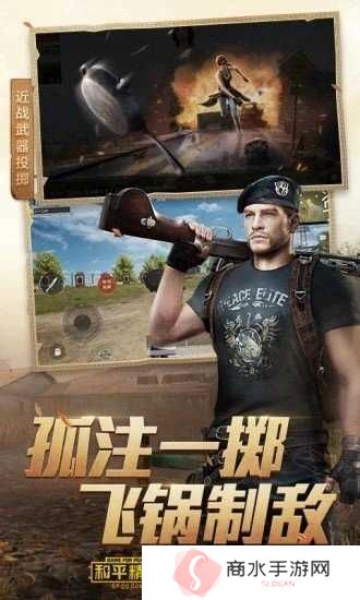 和平精英透视辅助永久免费下载安装