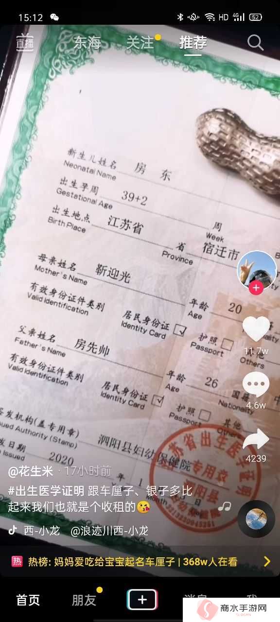 出生医学证明生成器免费下载